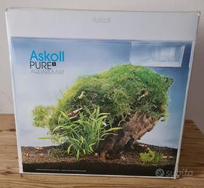 Acquario cubo 13 litri.