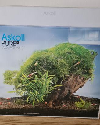 Acquario cubo 13 litri.