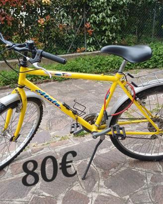 Bicicletta Atala