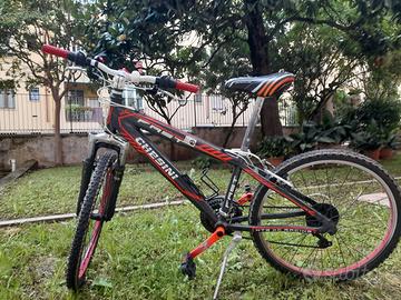 Mountain Bike Chesini junior 26"
