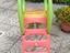 Immagine 2