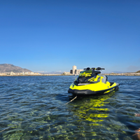 Moto d'acqua seadoo rxp 300