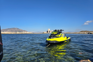 Moto d'acqua seadoo rxp 300