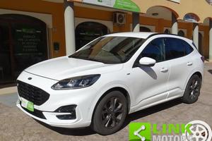 LINK MOTORS : FORD KUGA 1.5 TDCI 120 CV ST-LINE