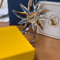 scs Swarovski stella alpina 2023 annual Christmas 