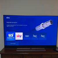 Tv Sky 65 pollici Rosa