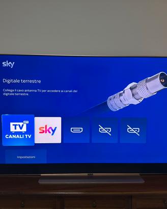 Tv Sky 65 pollici Rosa