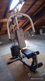 palestra