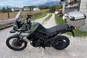 Triumph Tiger xcx 800