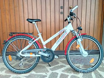 Bicicletta Pegasus Avanti