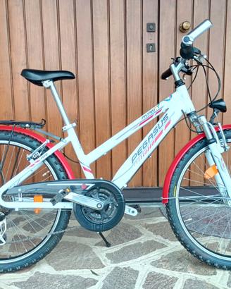 Bicicletta Pegasus Avanti