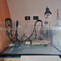 tartarughiera 50lt/ acquario/terrario con filtro