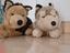 Immagine 1