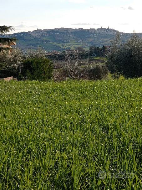 ? vendita ultimo lotto edificabile residenziale - Vista 3