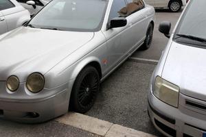 Jaguar  free style
