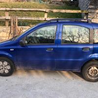 PANDA BLU MOLTO AFFIDABILE