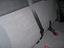Immagine 12