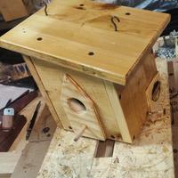 casetta nido per uccelli 