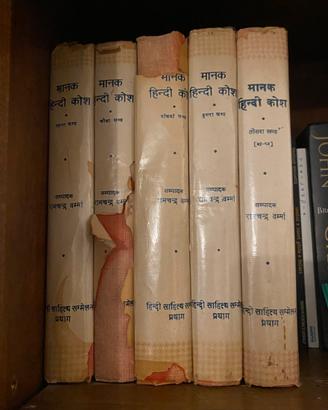 Dizionari hindi