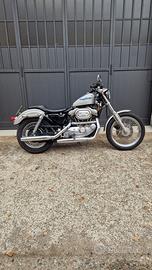 Harley davidson sportster 883