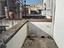 Immagine 19