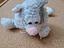 Immagine 2