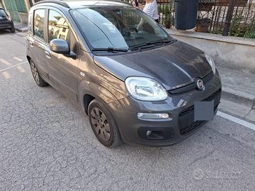 PANDA ANNO 2019