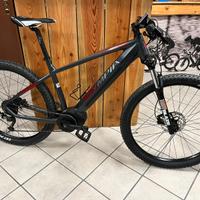 OLYMPIA MASTER 630 (E-BIKE) TG L. 1000km  e 100Nm