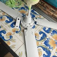 Ventilatore a soffitto