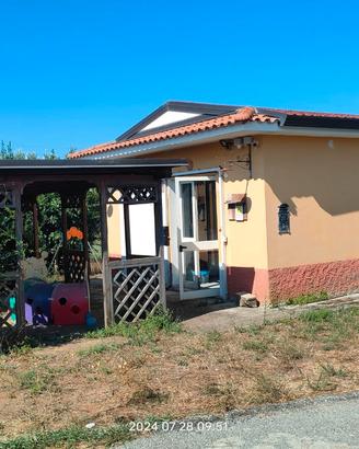 Magazzino uso commerciale
