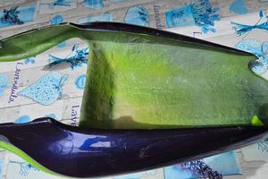 codone posteriore monoposto kawasaky ninja 1998