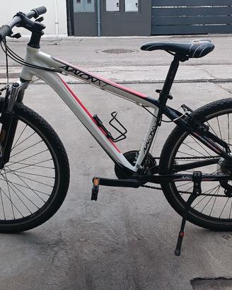 Mountain Bike ragazzo