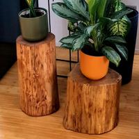 Tronco comodino o per arredamento