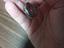 Immagine 2