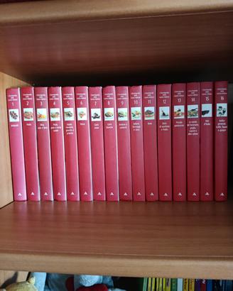 Enciclopedia della cucina  italiana 