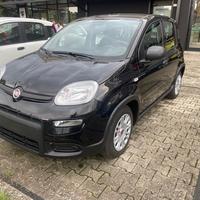 FIAT Panda 1.0 70cv Hybrid Panda N71485