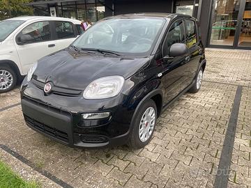 FIAT Panda 1.0 70cv Hybrid Panda N71485