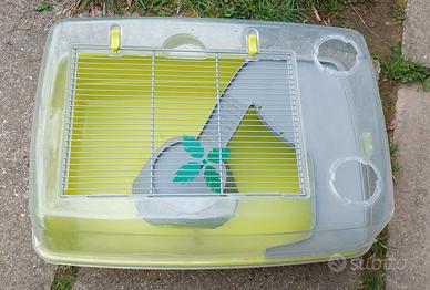 Terrario o tartarughiera 