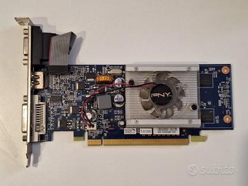 Scheda Video PNY Nvidia GeForce G210 512MB DDR2