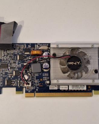 Scheda Video PNY Nvidia GeForce G210 512MB DDR2