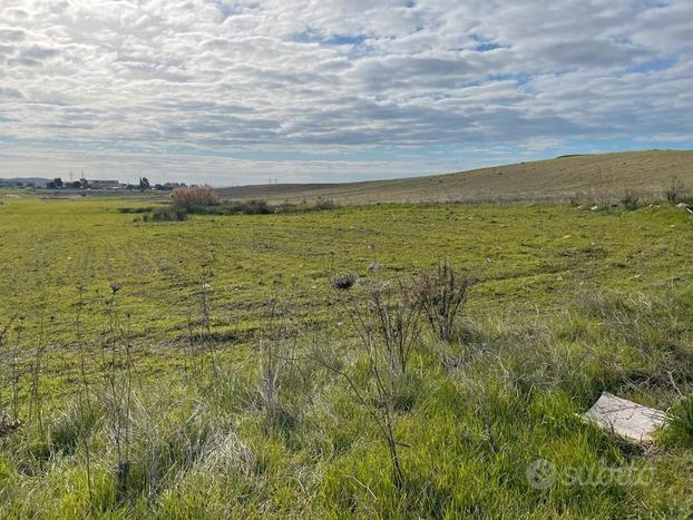 Terreno Agricolo a Settimo San Pietro