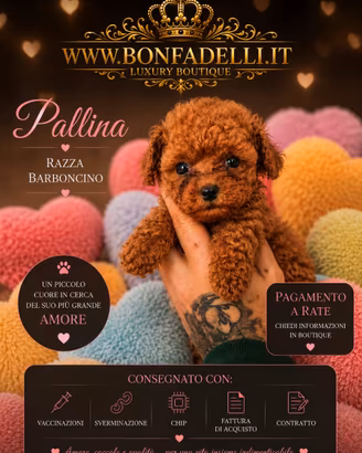 Barboncina teacup