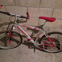  mountain bike privato vende 