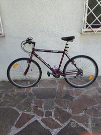 Bicicletta Lotus Adulto