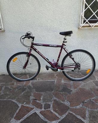 Bicicletta Lotus Adulto