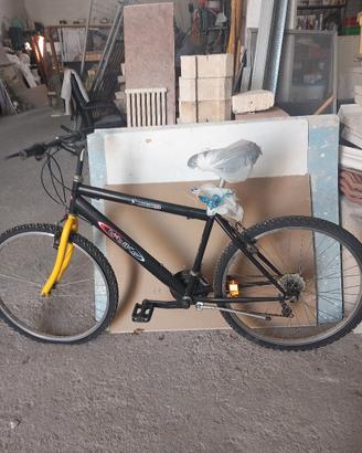 4 bici