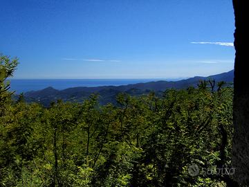 Riviera / Terreno edificabile / 600m sopra Sanremo