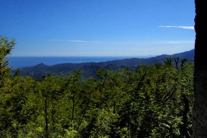 Riviera / Terreno edificabile / 600m sopra Sanremo