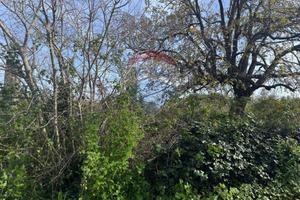 Terreno - San Giovanni la Punta