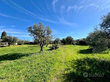 Gallicano nel lazio: rustico con terreno